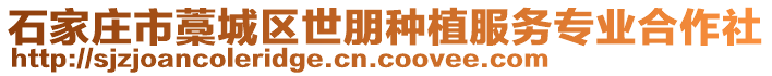 石家莊市藁城區世朋種植服務專業合作社