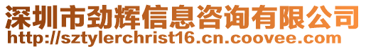 深圳市勁輝信息咨詢有限公司