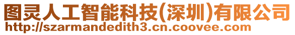 圖靈人工智能科技(深圳)有限公司