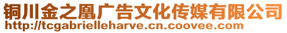 铜川金之凰广告文化传媒有限公司