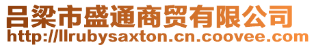 呂梁市盛通商貿有限公司