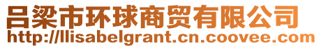 呂梁市環球商貿有限公司