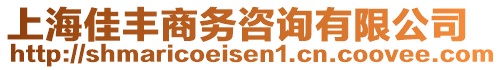 上海佳豐商務(wù)咨詢有限公司