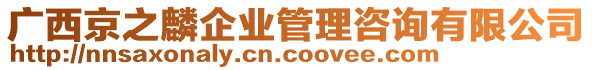 廣西京之麟企業(yè)管理咨詢有限公司