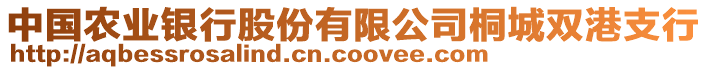 中國農(nóng)業(yè)銀行股份有限公司桐城雙港支行