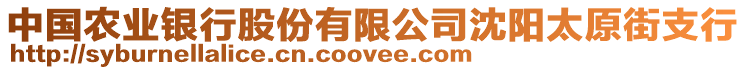 中國農(nóng)業(yè)銀行股份有限公司沈陽太原街支行