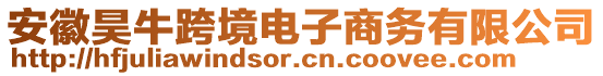 安徽昊?？缇畴娮由虅?wù)有限公司