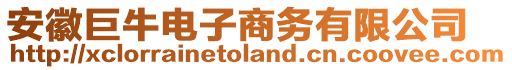 安徽巨牛電子商務有限公司