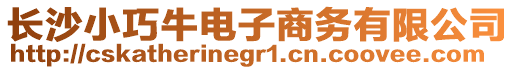 長沙小巧牛電子商務有限公司