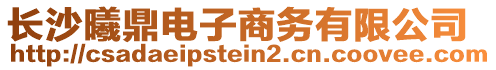 長沙曦鼎電子商務(wù)有限公司