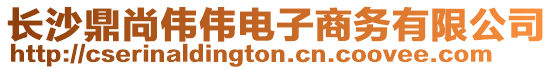 長沙鼎尚偉偉電子商務有限公司