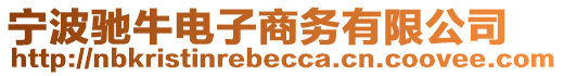 寧波馳牛電子商務(wù)有限公司