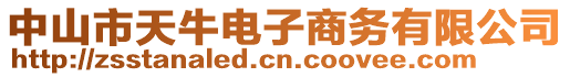 中山市天牛電子商務(wù)有限公司