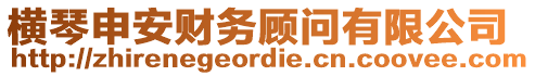 橫琴申安財務(wù)顧問有限公司