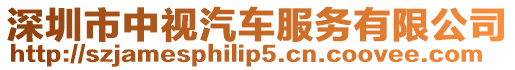 深圳市中視汽車服務(wù)有限公司