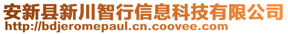 安新縣新川智行信息科技有限公司