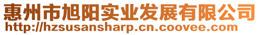 惠州市旭陽實業發展有限公司