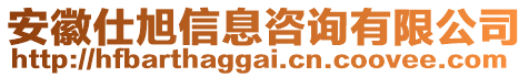 安徽仕旭信息咨詢(xún)有限公司