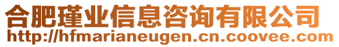 合肥瑾業(yè)信息咨詢有限公司