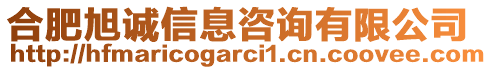 合肥旭誠信息咨詢有限公司