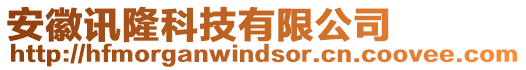 安徽訊隆科技有限公司