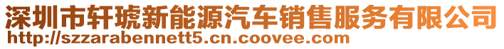 深圳市軒琥新能源汽車銷售服務有限公司