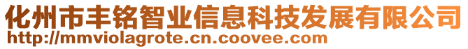 化州市豐銘智業(yè)信息科技發(fā)展有限公司