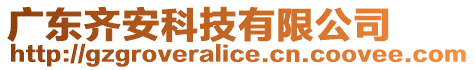 廣東齊安科技有限公司