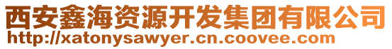 西安鑫海資源開發(fā)集團有限公司