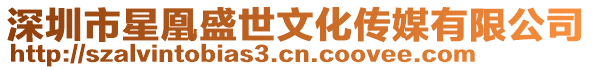 深圳市星凰盛世文化傳媒有限公司