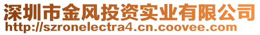 深圳市金風投資實業有限公司