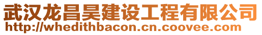 武漢龍昌昊建設工程有限公司