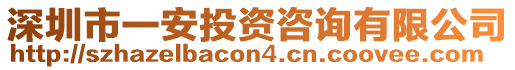 深圳市一安投資咨詢有限公司