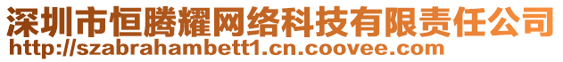 深圳市恒騰耀網(wǎng)絡(luò)科技有限責(zé)任公司