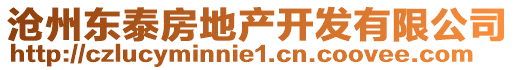滄州東泰房地產開發有限公司