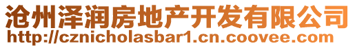 滄州澤潤(rùn)房地產(chǎn)開發(fā)有限公司