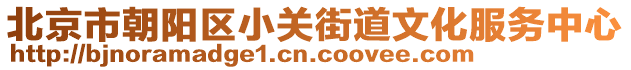 北京市朝陽區(qū)小關(guān)街道文化服務(wù)中心