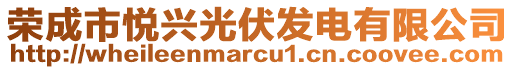 榮成市悅興光伏發(fā)電有限公司