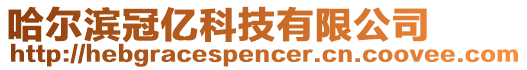 哈爾濱冠億科技有限公司