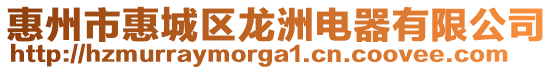 惠州市惠城區(qū)龍洲電器有限公司