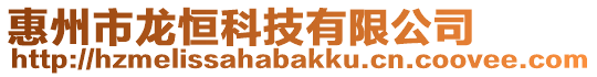 惠州市龍恒科技有限公司