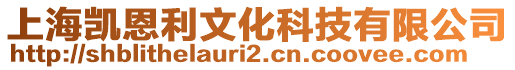 上海凱恩利文化科技有限公司