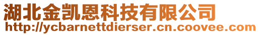 湖北金凱恩科技有限公司