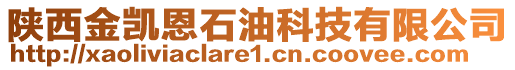 陜西金凱恩石油科技有限公司