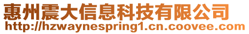 惠州震大信息科技有限公司