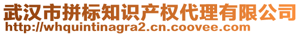 武漢市拼標(biāo)知識(shí)產(chǎn)權(quán)代理有限公司