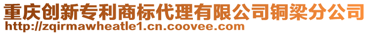 重慶創(chuàng)新專(zhuān)利商標(biāo)代理有限公司銅梁分公司