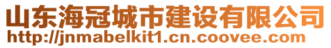 山東海冠城市建設有限公司