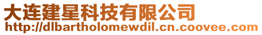 大連建星科技有限公司