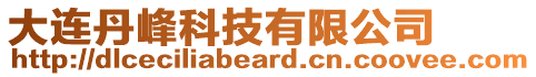 大連丹峰科技有限公司